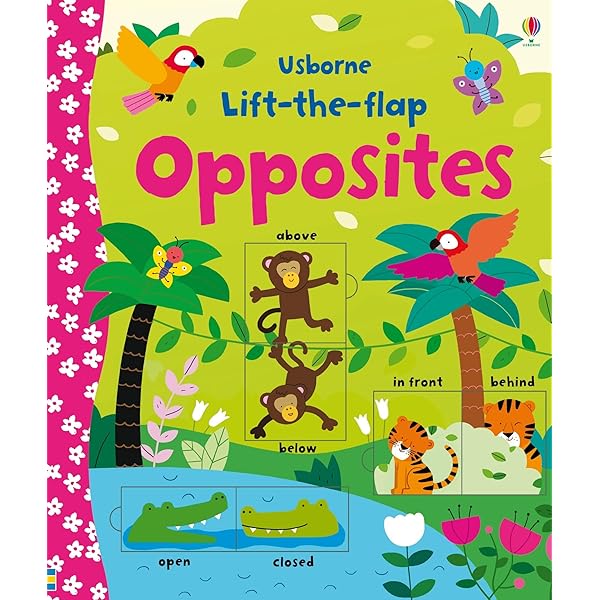 Amazon.com: Lift the Flap Colours Book (Usborne Lift-the-Flap
